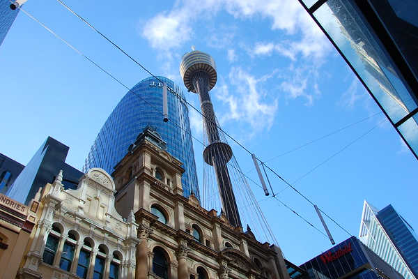 the-sydney-tower