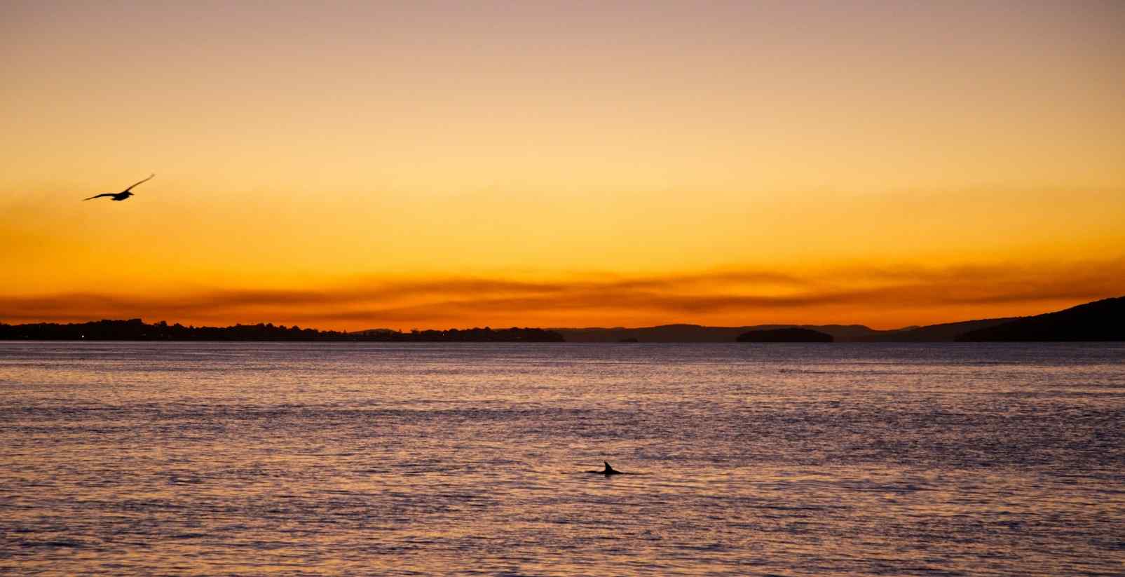 Sunset over a ocean