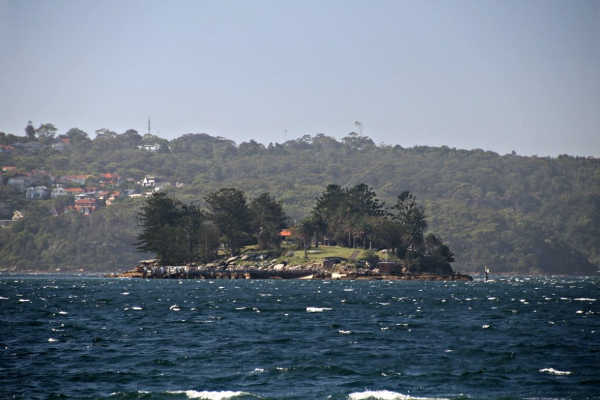 Shark Island