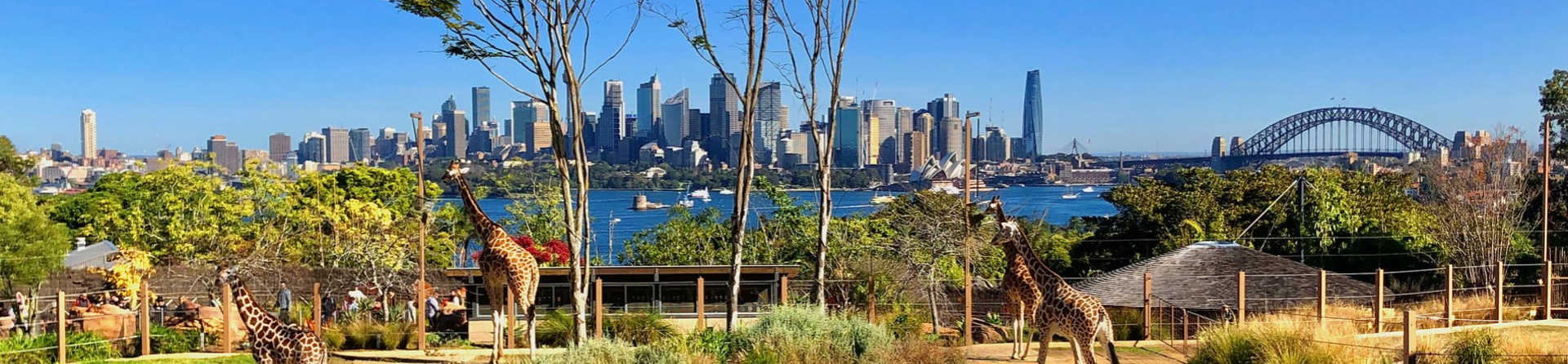 Mosman