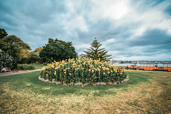 Themed Gardens