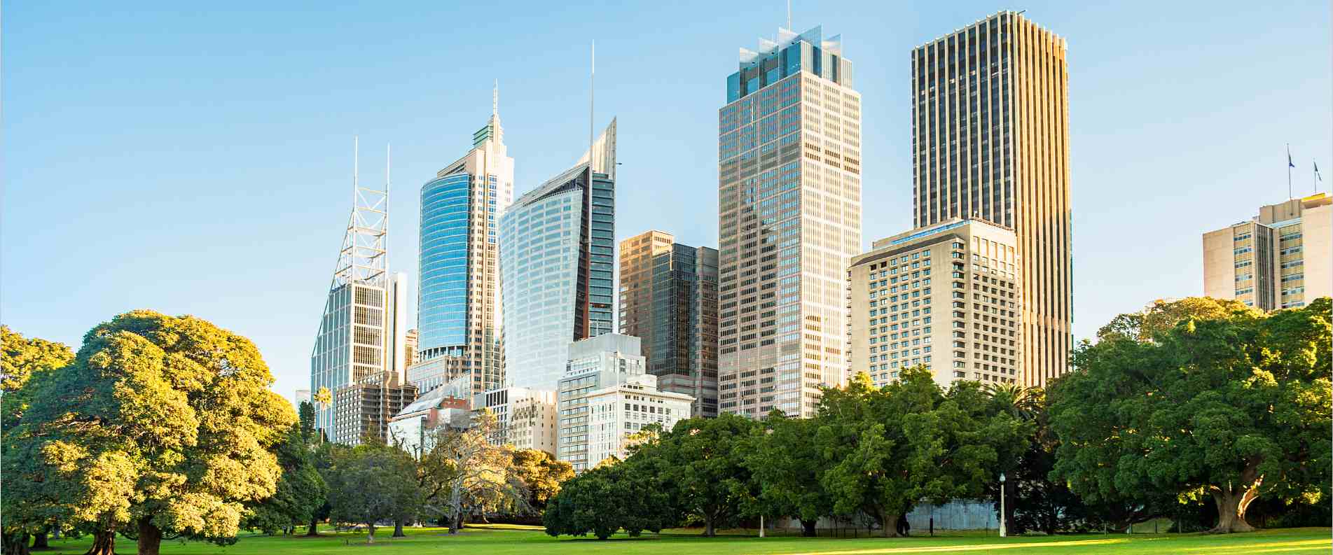 sydney botanic garden